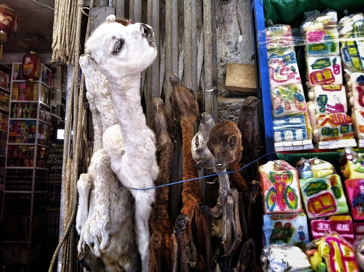 red cap walking tour la paz bolivia 2