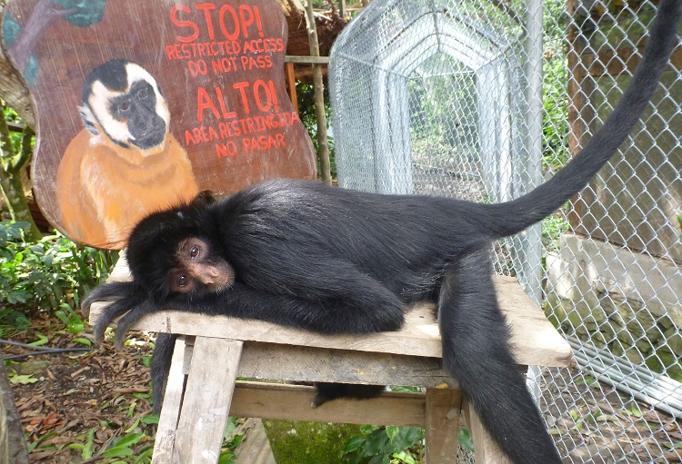 death road tour bolivia 6